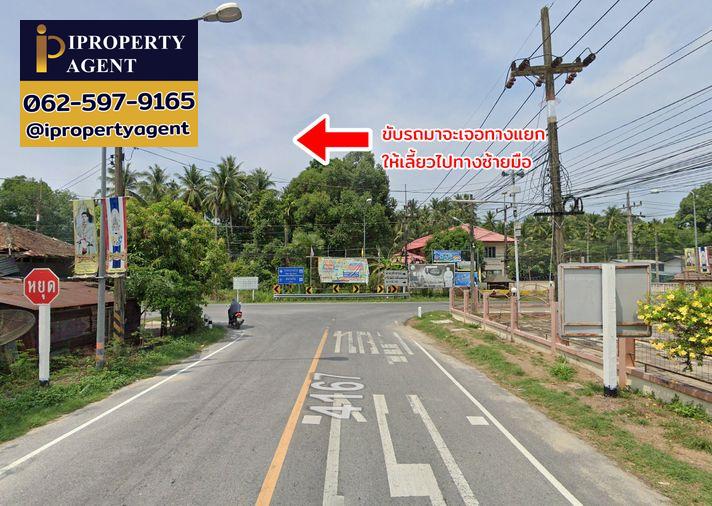 รูป ขายที่ดิน ต.ดอนทราย อ.ไม้แก่น จ.ปัตตานี - รูปที่ 15/20