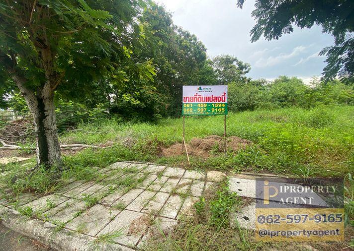 รูป ขายที่ดิน ในโครงการวิจิตรธานี บางนา-ตราด บางปะกง ฉะเชิงเทรา - รูปที่ 2/18