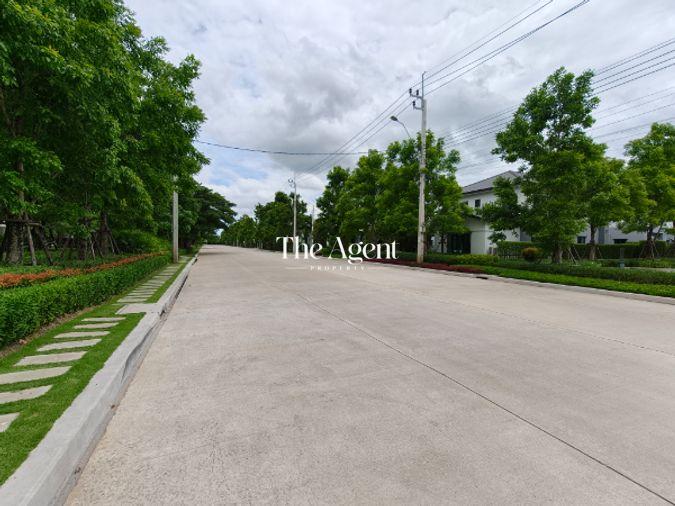 รูป ขายบ้านเดี่ยว เซนโทร ทวีวัฒนา เนื้อที่ 102.8 ตร.ว. พื้นที่ใช้สอย 320 ตร.ม. 4 นอน 5 น้ำ จอดรถ 4 คัน หลังใหญ่ ใกล้บรมราชชนนี เพชรเกษม กาญจนาภิเษก - รูปที่ 82/88
