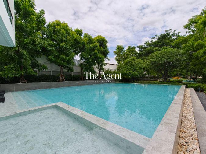 รูป ขายบ้านเดี่ยว เซนโทร ทวีวัฒนา เนื้อที่ 102.8 ตร.ว. พื้นที่ใช้สอย 320 ตร.ม. 4 นอน 5 น้ำ จอดรถ 4 คัน หลังใหญ่ ใกล้บรมราชชนนี เพชรเกษม กาญจนาภิเษก - รูปที่ 55/88