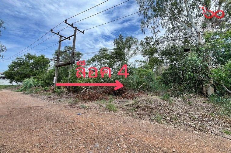 รูป ขายที่ดิน 202 ตร.ว. รังสิตคลอง 1 รังสิต-นครนายก 25-27 ใกล้ฟิวเจอร์พาร์ค ปทุมธานี - รูปที่ 2/3