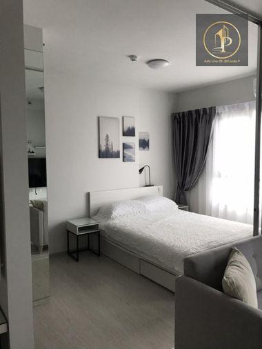 picture 🎈#PT2408_105🎈💥Urgent💥 Guaranteed availability! Click quickly before it's gone‼️ For Rent 1️⃣3️⃣k.🔥 Chapter One Shine Bang Pho Condo - 4/12