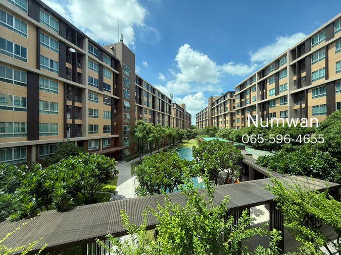 รูป 🛋️ dcondo Campus Resort Rangsit (ดีคอนโด แคมปัส รีสอร์ท รังสิต) เฟส1 7,500 / เดือน สัญญา 2 ปี ชั้น 3 ตึก D ทักไลน์ @802dkhwu ตอบเร็ว นัดดูห้องได้ - รูปที่ 1/8