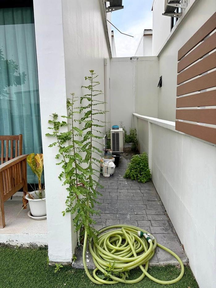 รูป ให้เช่า บ้านเดี่ยว โครงการ โคโม่เบียงก้า บางนา GH608 - รูปที่ 3/20