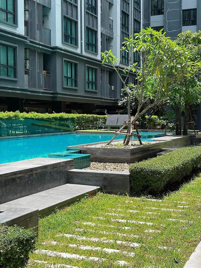 picture Condo for sale, Kensington Laem Chabang-Sriracha, Chonburi. move in Ready - 10/12