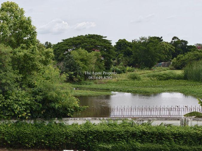 รูป ให้เช่าบ้านเดี่ยว หลังมุม Perfect Place รามคำแหง 164 พื้นที่ใช้สอย 80 ตร.ว. 4 นอน ใกล้ RIS เช่า 55,000 บาท ขาย 8.5 ล้าน - รูปที่ 47/48