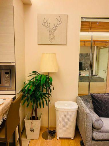 picture ✨ H Sukhumvit 43 | 44 SQ.M. | THB 30,000/Month - 7/17
