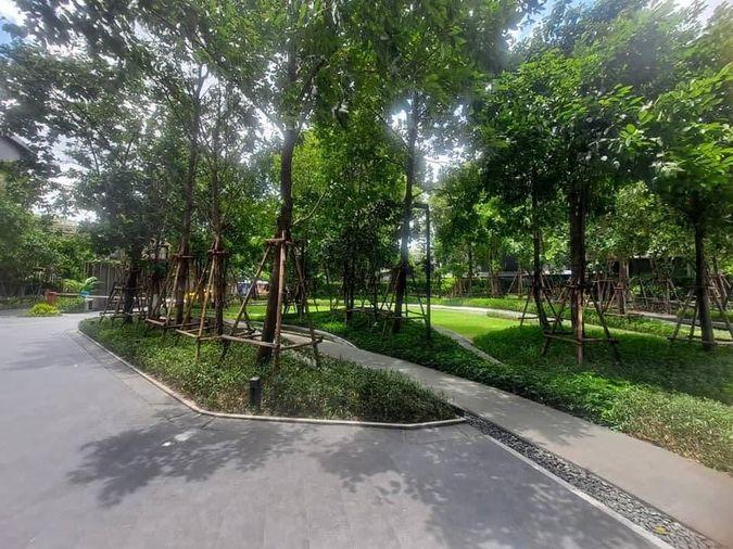 picture 🎈#MT2607_159🎈💥Urgent💥 Guaranteed availability! Click quickly before it's gone‼️ For Rent 22k.🔥 Condo The Line Chatuchak-Mo Chit - 14/16