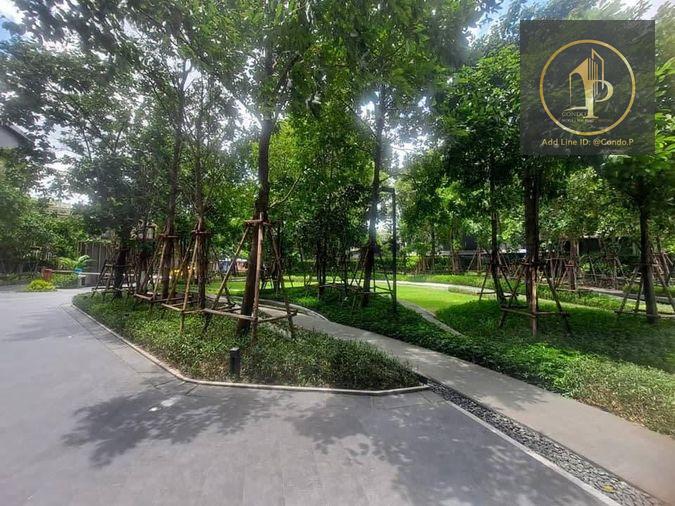 picture 🎈#MT2607_159🎈💥Urgent💥 Guaranteed availability! Click quickly before it's gone‼️ For Rent 22k.🔥 Condo The Line Chatuchak-Mo Chit - 14/16