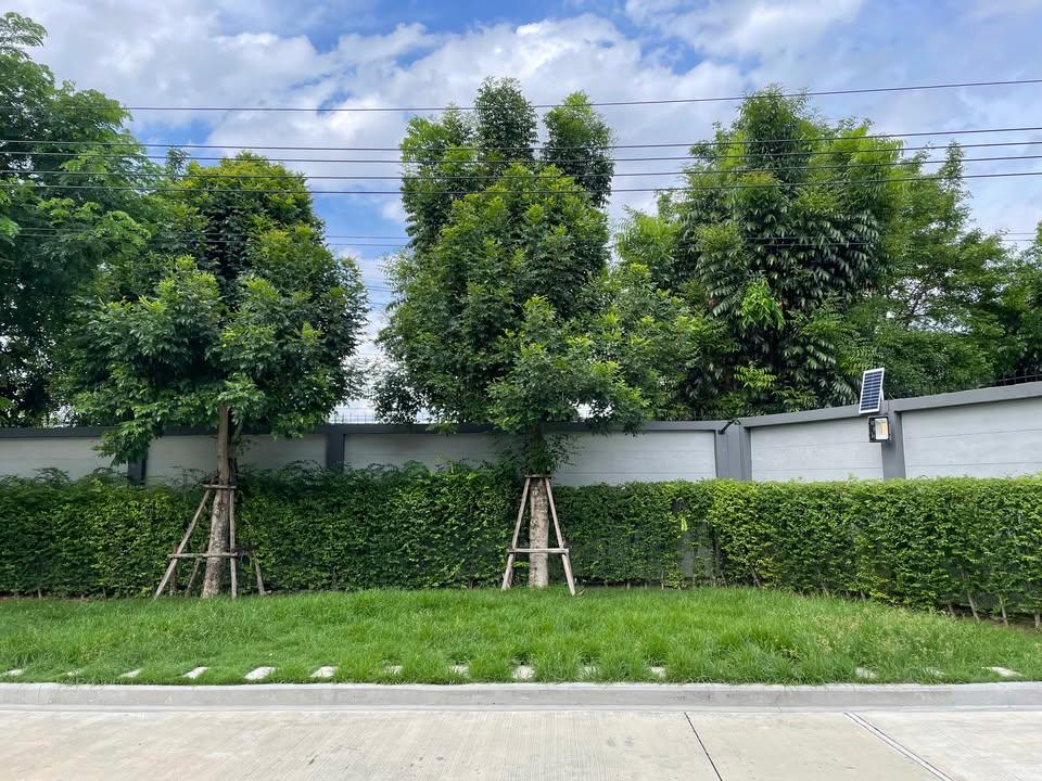 รูป 💥ขาย บ้านเดี่ยว 2 ชั้น  VENUE ID Rama 5 เวนิว ไอดี พระราม 5 บ้านสวยหลังริม แต่งครบพร้อมอยู่ ทำเลถนนนครอินทร์✅ ความเป็นส่วนตัวสูง - รูปที่ 35/36