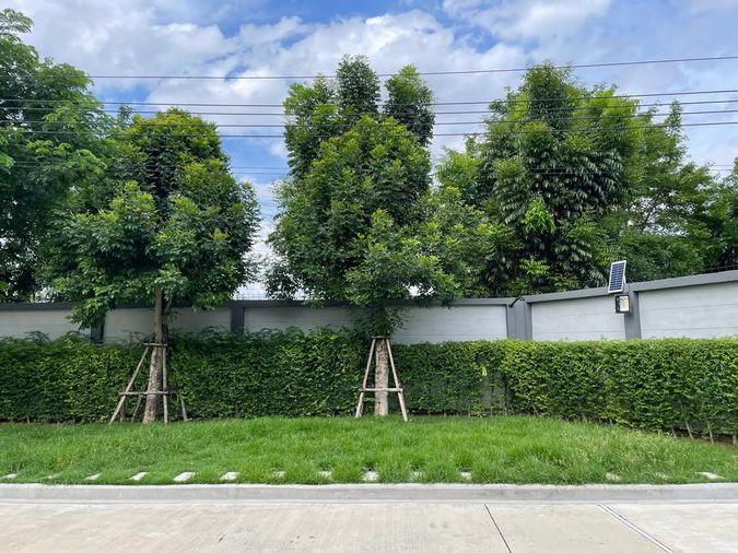 รูป 💥ขาย บ้านเดี่ยว 2 ชั้น  VENUE ID Rama 5 เวนิว ไอดี พระราม 5 บ้านสวยหลังริม แต่งครบพร้อมอยู่ ทำเลถนนนครอินทร์✅ ความเป็นส่วนตัวสูง - รูปที่ 35/36