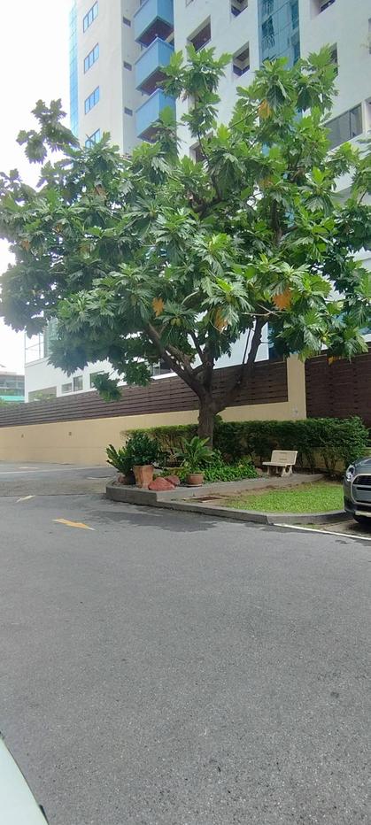 picture To let 59 Heritage, 17th floor room, spacious, 2 bedrooms, 2 bathrooms, excellent location. - 22/22