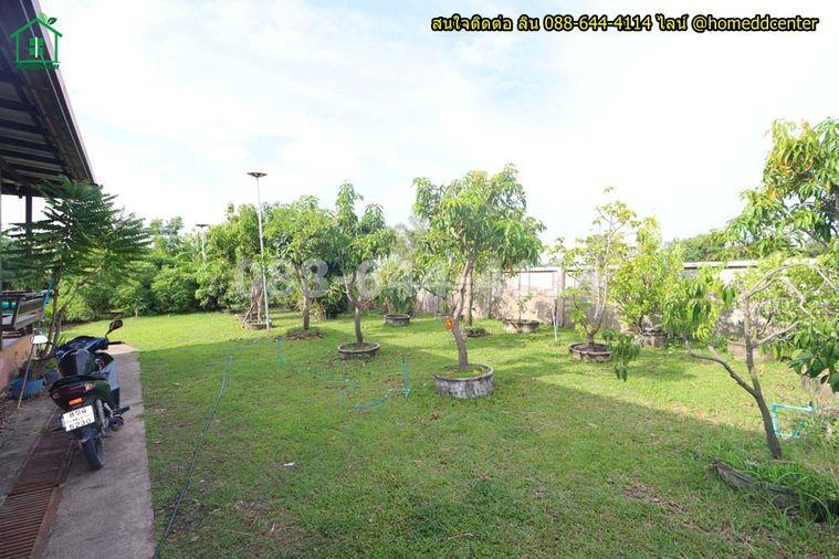รูป ขายบ้านสวนพร้อมที่ดิน 579 ตร.ว. ทับยาว ลาดกระบัง ใกล้สุวรรณภูมิ มอเตอร์เวย์ เทคโนฯพระจอมเกล้า ลาดกระบัง - รูปที่ 21/36