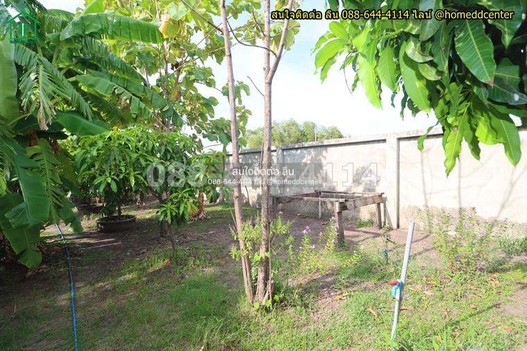 รูป ขายบ้านสวนพร้อมที่ดิน 579 ตร.ว. ทับยาว ลาดกระบัง ใกล้สุวรรณภูมิ มอเตอร์เวย์ เทคโนฯพระจอมเกล้า ลาดกระบัง - รูปที่ 24/36