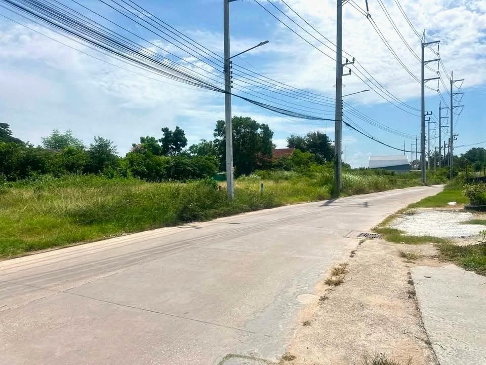 รูป Land for Sale Nong Yai East Pattaya Subdivided Plots - รูปที่ 1/6