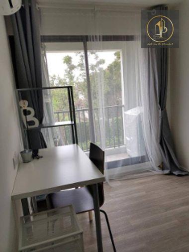 picture 🎈#MT2608_002🎈💥Urgent💥 Guaranteed availability! Click quickly before it's gone‼️ For Rent 1️⃣4️⃣k.🔥 Kensington Kaset Campus Condo - 10/14