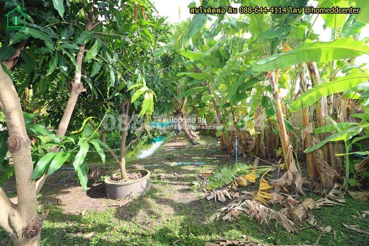 รูป ขายบ้านสวนพร้อมที่ดิน 579 ตร.ว. ทับยาว ลาดกระบัง ใกล้สุวรรณภูมิ มอเตอร์เวย์ เทคโนฯพระจอมเกล้า ลาดกระบัง - รูปที่ 29/36