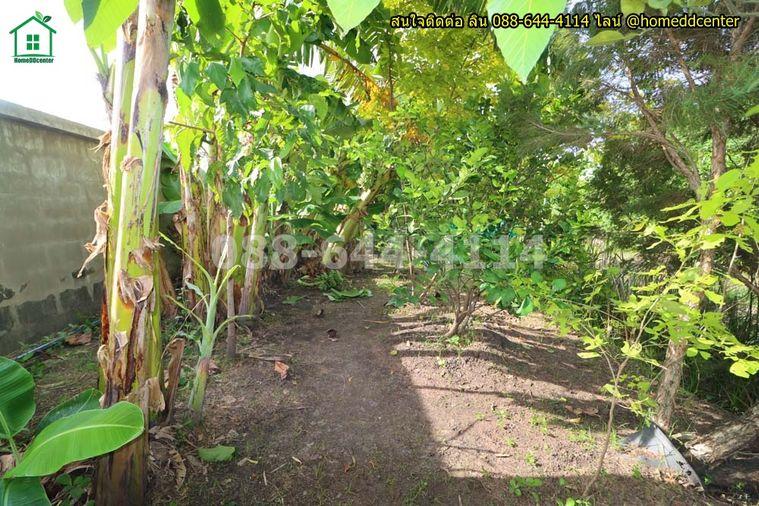 รูป ขายที่ดินแถมบ้านสวน 579 ตร.ว. ลาดกระบัง ใกล้สุวรรณภูมิ มอเตอร์เวย์ ม.เทคโนฯพระจอมเกล้า ลาดกระบัง - รูปที่ 15/18