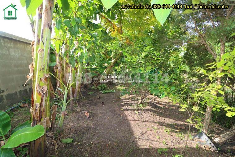 รูป ขายที่ดินแถมบ้านสวน 579 ตร.ว. ลาดกระบัง ใกล้สุวรรณภูมิ มอเตอร์เวย์ ม.เทคโนฯพระจอมเกล้า ลาดกระบัง - รูปที่ 15/18