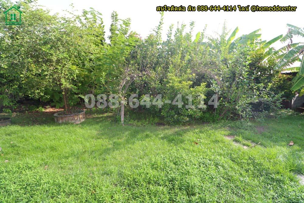 รูป ขายที่ดินแถมบ้านสวน 579 ตร.ว. ลาดกระบัง ใกล้สุวรรณภูมิ มอเตอร์เวย์ ม.เทคโนฯพระจอมเกล้า ลาดกระบัง - รูปที่ 14/18