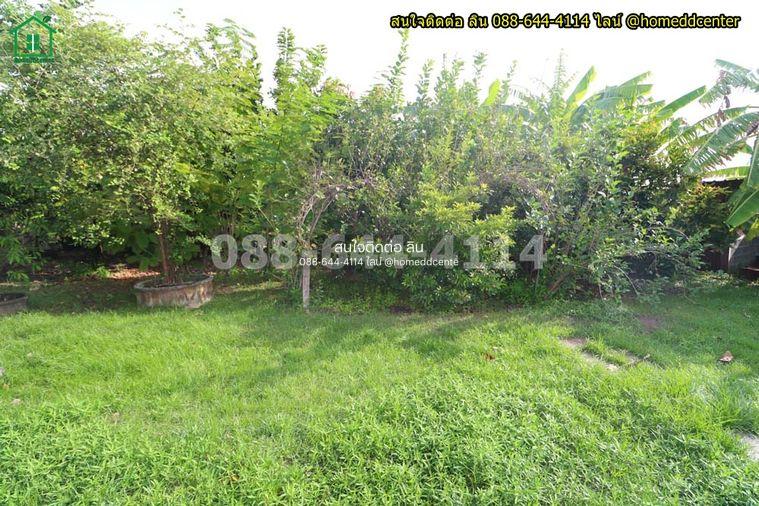 รูป ขายที่ดินแถมบ้านสวน 579 ตร.ว. ลาดกระบัง ใกล้สุวรรณภูมิ มอเตอร์เวย์ ม.เทคโนฯพระจอมเกล้า ลาดกระบัง - รูปที่ 14/18