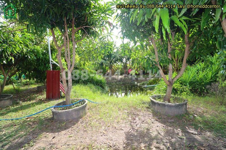 รูป ขายที่ดินแถมบ้านสวน 579 ตร.ว. ลาดกระบัง ใกล้สุวรรณภูมิ มอเตอร์เวย์ ม.เทคโนฯพระจอมเกล้า ลาดกระบัง - รูปที่ 12/18