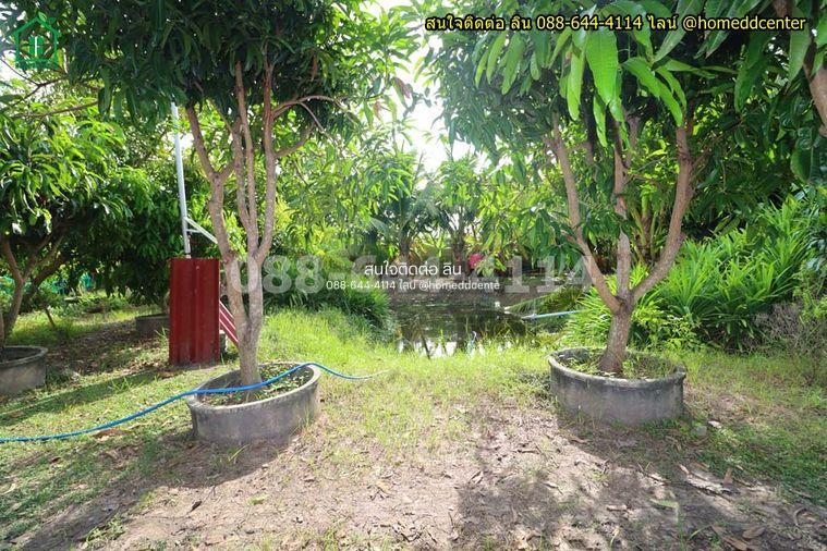 รูป ขายที่ดินแถมบ้านสวน 579 ตร.ว. ลาดกระบัง ใกล้สุวรรณภูมิ มอเตอร์เวย์ ม.เทคโนฯพระจอมเกล้า ลาดกระบัง - รูปที่ 12/18