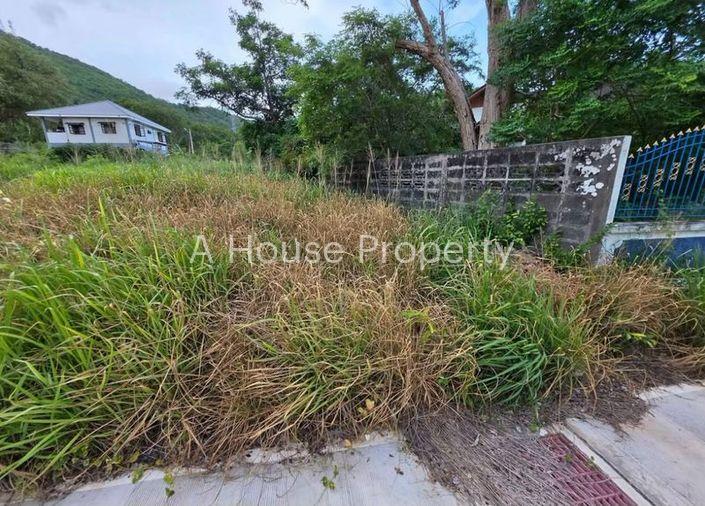 รูป ขายที่ดินทำเลทอง ศรีราชา เหมาะสร้างบ้าน ลงทุน หรือทำธุรกิจ - รูปที่ 4/5