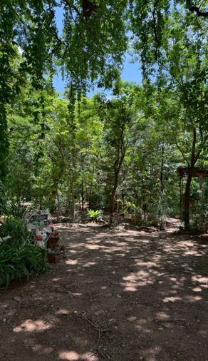 picture Single house for sale with orchard, Muak Lek, Saraburi (800 meters from Mittraphap Road) (N.2262) - 7/8