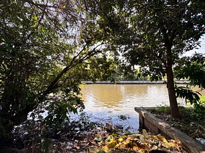 รูป ขายที่ดินซอยลาดกระบัง3 ขนาด 371 ตร.วา ถนนประชาทร (N.1380) - รูปที่ 7/9
