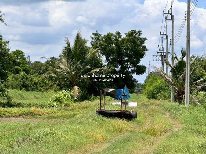 รูป ขายที่ดินเปล่าหนองจอก ถ.ประชาสำราญ (ซอยร่วมพัฒนา) **เพียง 4,500/ตารางวา** (N.1717) - รูปที่ 5/9