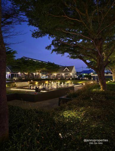picture Chapter One Modern Dutch : High Floor - 24/27