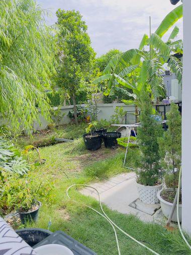 picture V Compound Tiwanon-Rangsit   House For Sale / Line : @mintocondo - 4/21