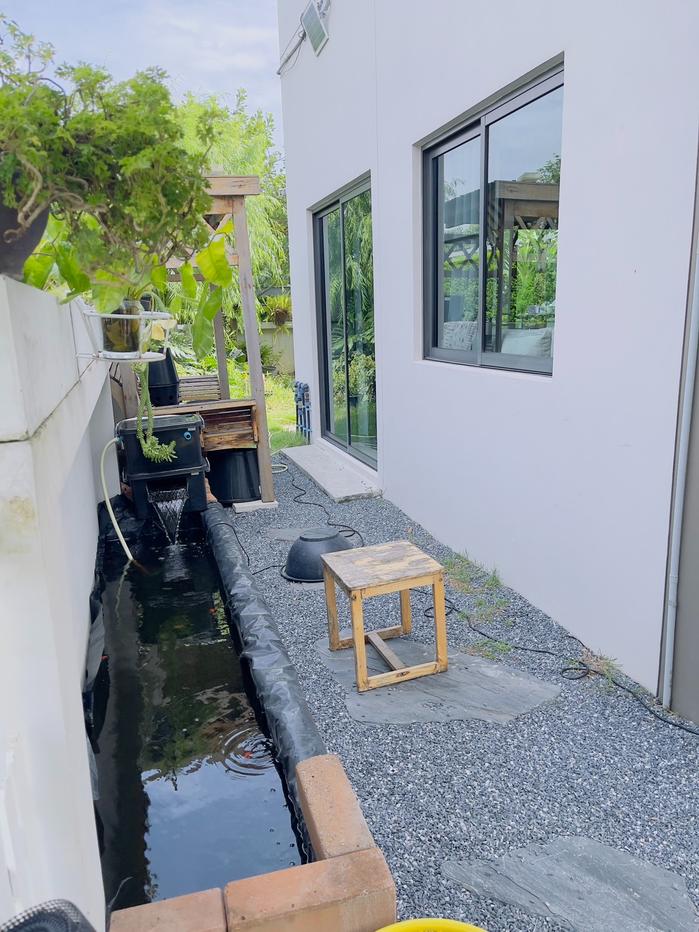 picture V Compound Tiwanon-Rangsit   House For Sale / Line : @mintocondo - 3/21