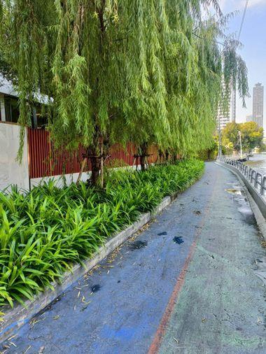 picture 🏢 Condo for Rent: Chapter Thonglor 25   Property Code | LNP-C14311  - 7/15