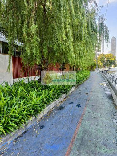picture 🏢 Condo for Rent: Chapter Thonglor 25 Property Code | LNP-C14311 - 7/15