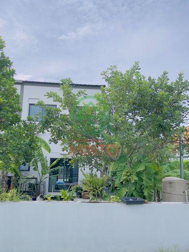 picture V Compound Tiwanon-Rangsit House For Sale / Line : @mintocondo - 2/21