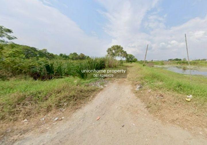 รูป ขายที่ดินคุ้มเกล้า 17 แยก 6 ลาดกระบัง 186 ตร.วา เหมาะสร้างบ้าน โกดัง หรือเก็งกำไร (N.2205) - รูปที่ 3/5