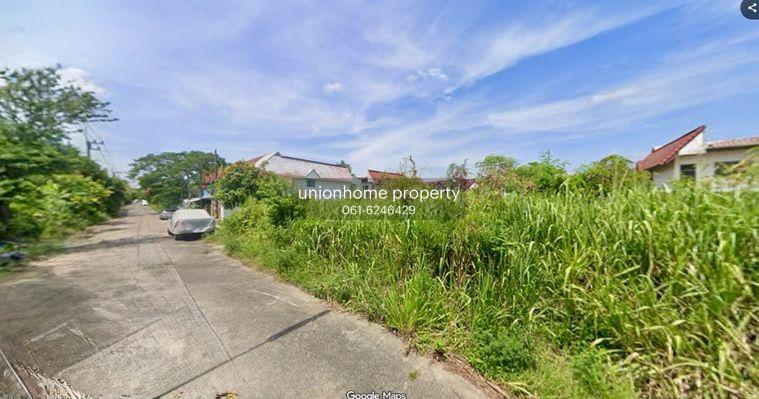 รูป ขายที่ดิน ซอยถนนรังสิต - นครนายก 60 - 62 ธัญบุรี เดินทางสะดวกสบาย ใกล้แหล่งชุมชน (N.2194) - รูปที่ 5/5