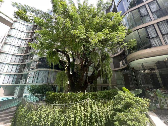 picture Fynn Asoke | Luxury Low-Rise 2BR 2BA with Bathtub (Between Nana & Asoke) 55,000 THB / Month - 11/12