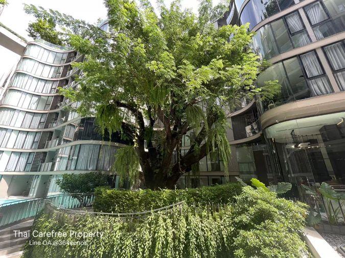picture Fynn Asoke | Luxury Low-Rise 2BR 2BA with Bathtub (Between Nana & Asoke) 55,000 THB / Month - 11/12