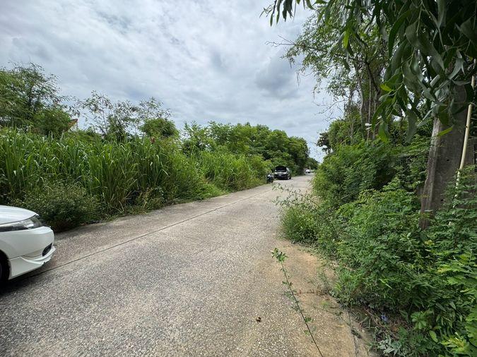 รูป ขายที่ดิน ซอยถนนรังสิต - นครนายก 60 - 62 ธัญบุรี เดินทางสะดวกสบาย ใกล้แหล่งชุมชน (N.2193) - รูปที่ 10/13