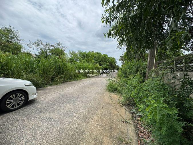 รูป ขายที่ดิน ซอยถนนรังสิต - นครนายก 60 - 62 ธัญบุรี เดินทางสะดวกสบาย ใกล้แหล่งชุมชน (N.2193) - รูปที่ 11/13