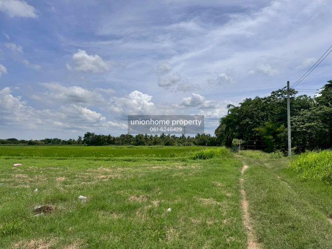 รูป ขายที่ดินเปล่าหนองจอก ถ.ประชาสำราญ1 (ซอยคลองสิบสาม) **เพียง 1,875/ตารางวา** (N.1716) - รูปที่ 6/7
