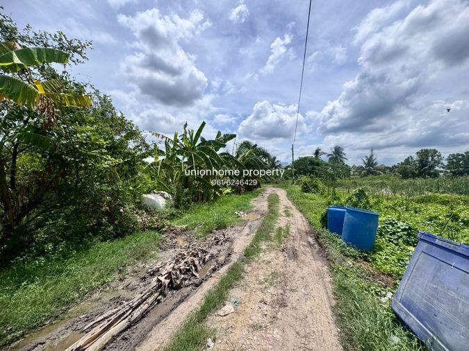 รูป ขายที่ดินเปล่าหนองจอก ถ.ประชาสำราญ1 (ซอยคลองสิบสาม) **เพียง 1,875/ตารางวา** (N.1716) - รูปที่ 2/7