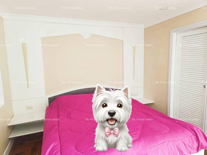 รูป Big Pet-Friendly Condo for Rent BTS Phrom Phong/BTS Thonglor/Rooftop grass zone for pooping/Balcony/Near Maestro 39 - รูปที่ 5/9