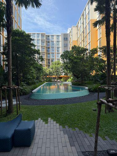 รูป ✨ The Base Rise ห้อง 1 Bedroom แต่งครบ พร้อมเข้าอยู่! 30 ตร.ม. | เริ่ม 3.29 ล้าน* - รูปที่ 8/10