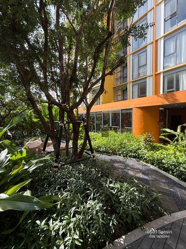 รูป ✨ The Base Rise ห้อง 1 Bedroom แต่งครบ พร้อมเข้าอยู่! 30 ตร.ม. | เริ่ม 3.29 ล้าน* - รูปที่ 10/10