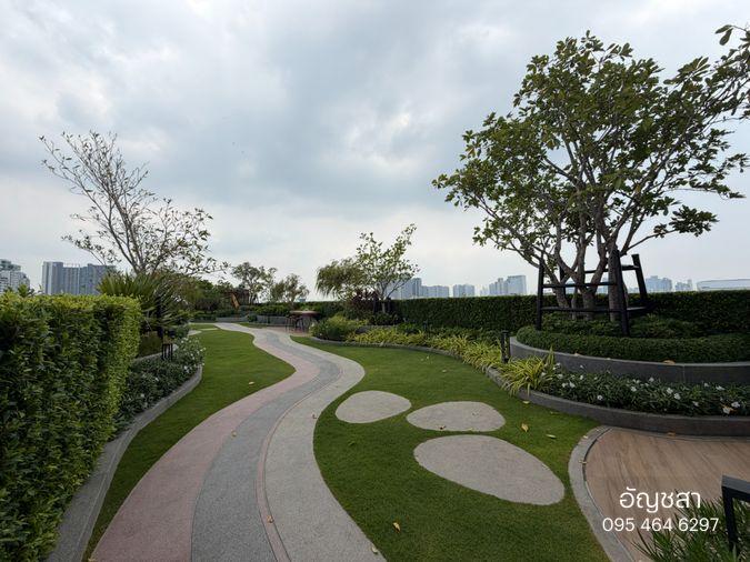 รูป คอนโดเลี้ยงสัตว์ แบริ่ง The Muve Sukhumvit 107 - รูปที่ 15/20