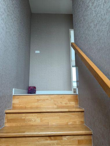 picture 🌳🌷 House for Rent: Indy Bangna km.26, ABAC Lane - 11/11